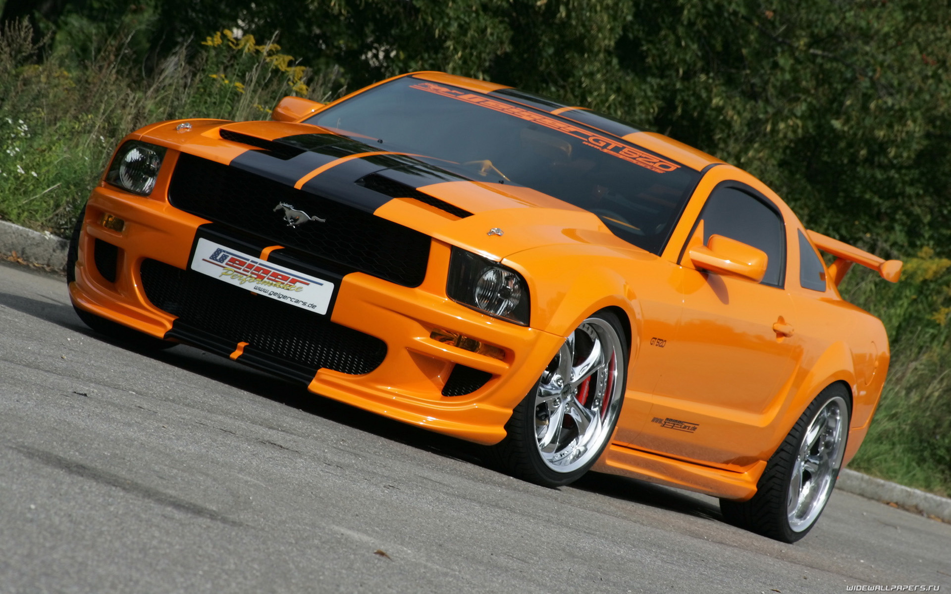 mustang.jpg